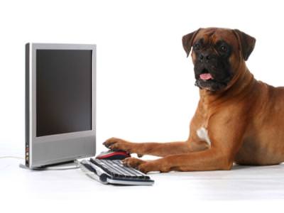 A Review of the BVHA Day @ VetsNorth 2015