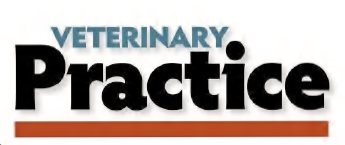 vet practice journal logo.JPG