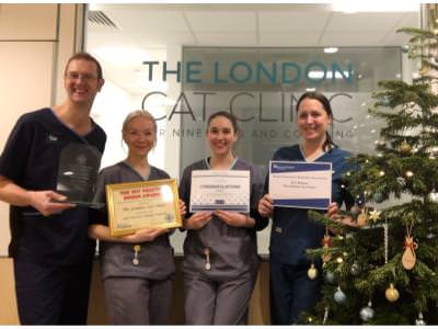 The London Cat Clinic talk about the Design Awards