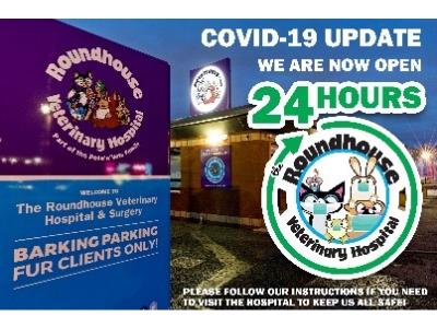 Roundhouse Vet Hospital - Our Lockdown Story