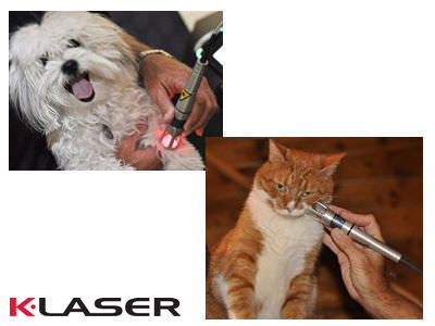 vets4pets find a practice