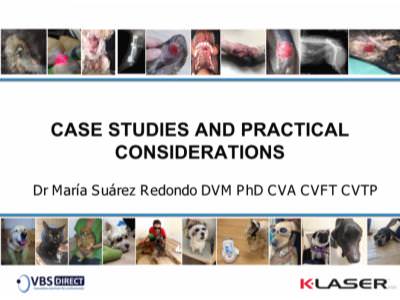 Case Studies & Practical Considerations