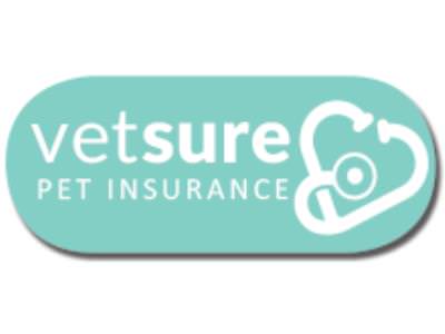 Pet Insurance 
